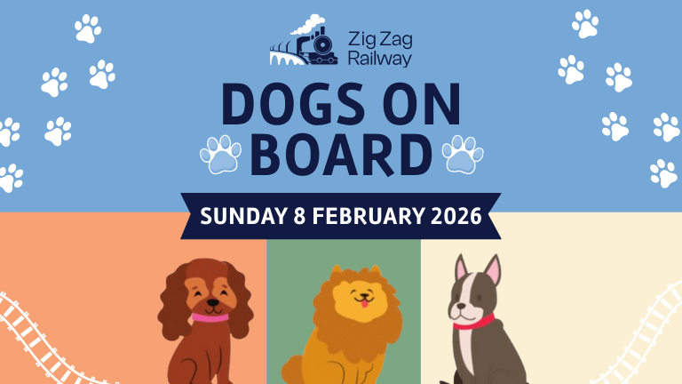 Read more about the article Dogs on Board