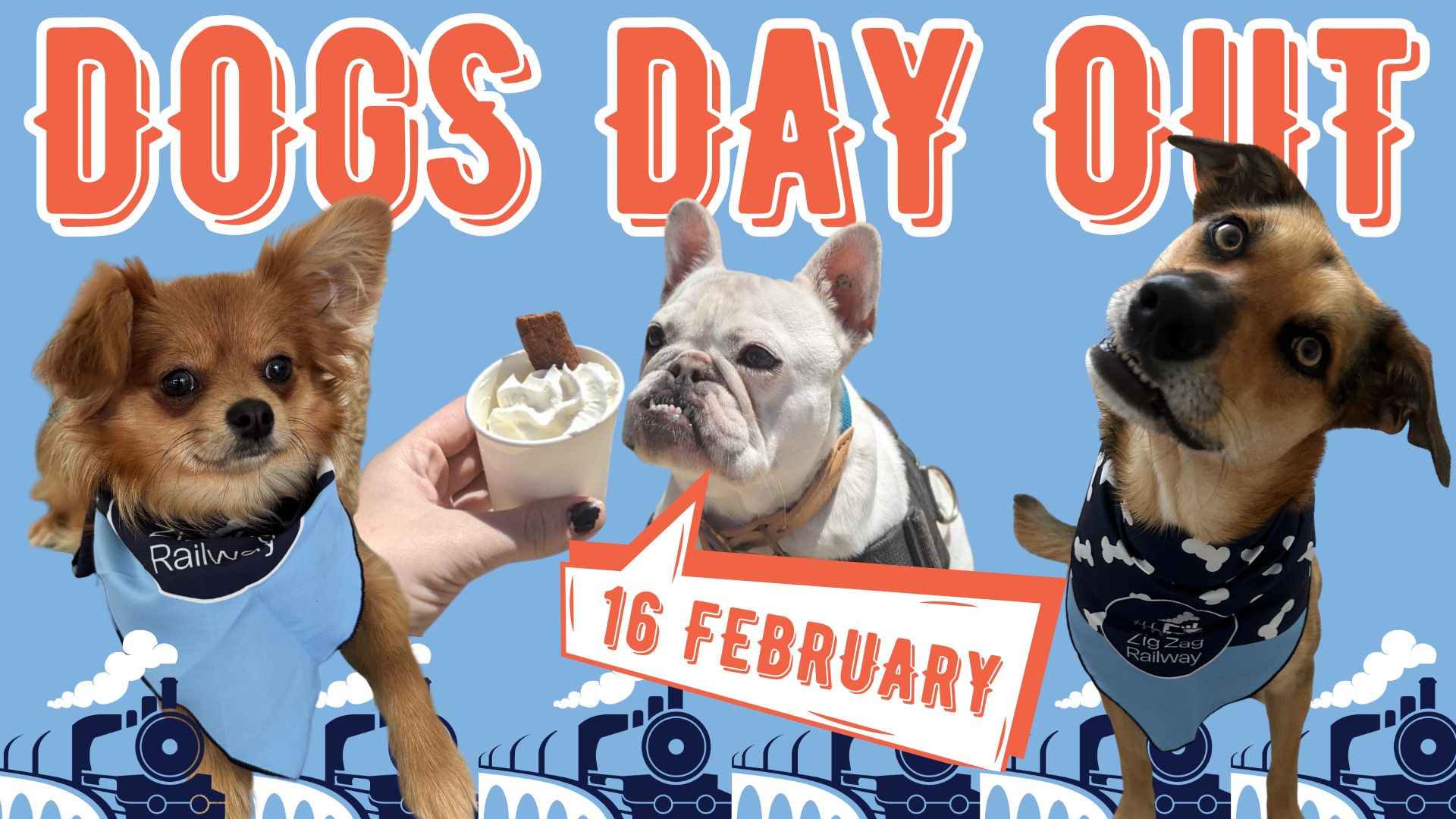 Dogs Day Out at Zig Zag Railway